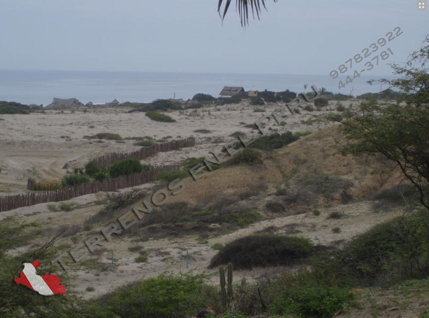 Terrenos en Los Órganos, Piura con vista al mar de 250 y 300 m2