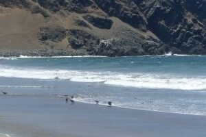 image009 lotes de playa