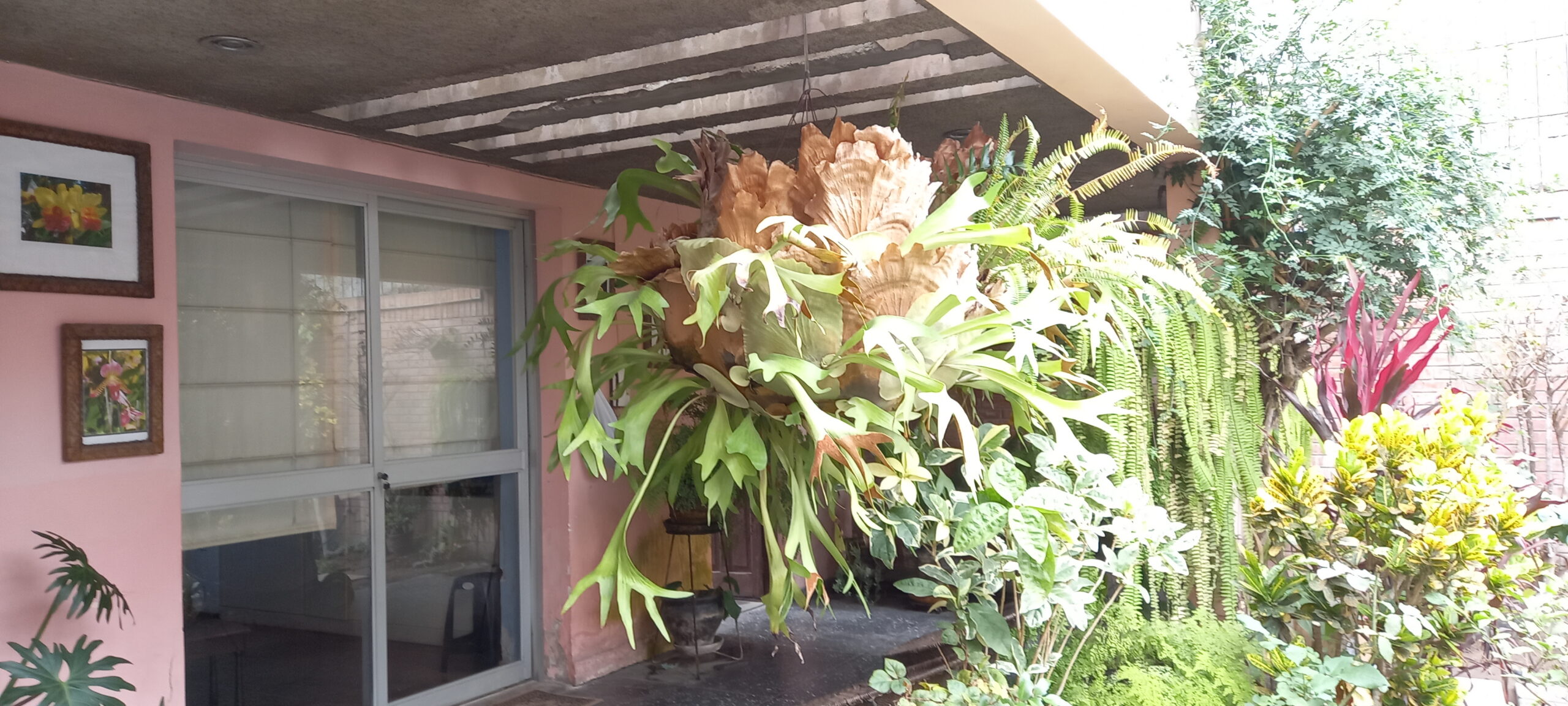 CASA COMO TERRENO en VENTA en MIRAFLORES, Jose Galvez