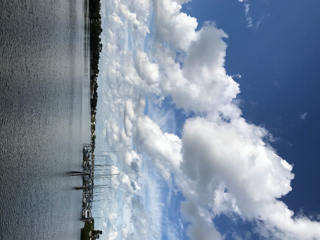Another sarasota image